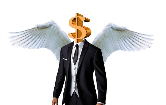 An angel investor with wings and dollar sign ready to provide seed money to start a business.