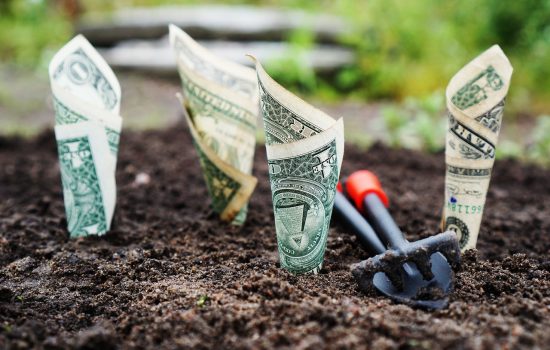 Seed money growing out of the ground.